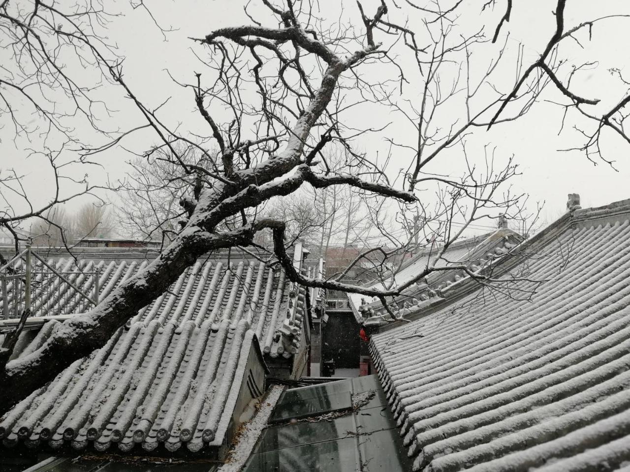 Beijing Fly By Knight Courtyard Hotel Екстериор снимка